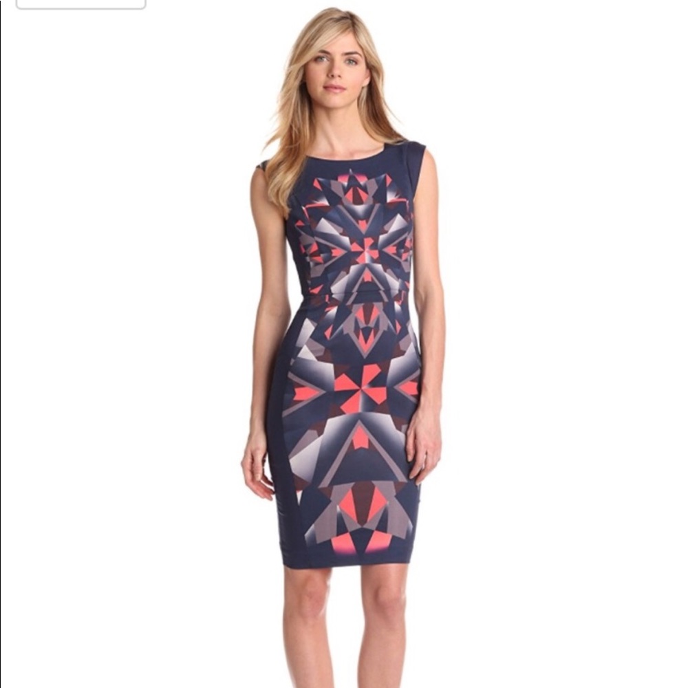 Beautiful French Connection Dress